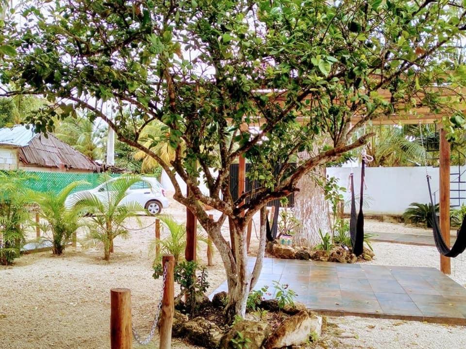 Cedro Rojo Hotel Bacalar Exterior photo